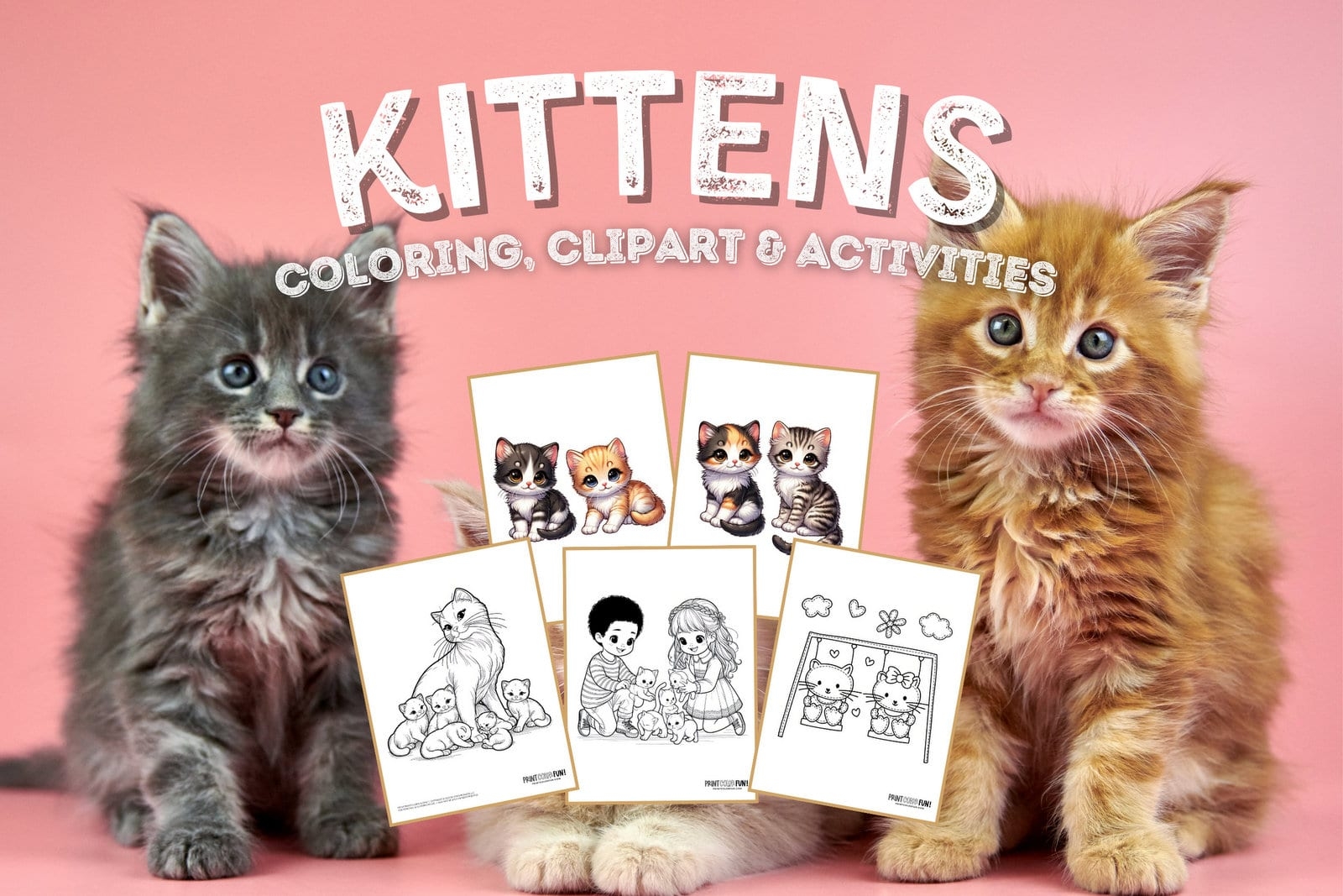 Kitten Coloring Pages Printable Pdf