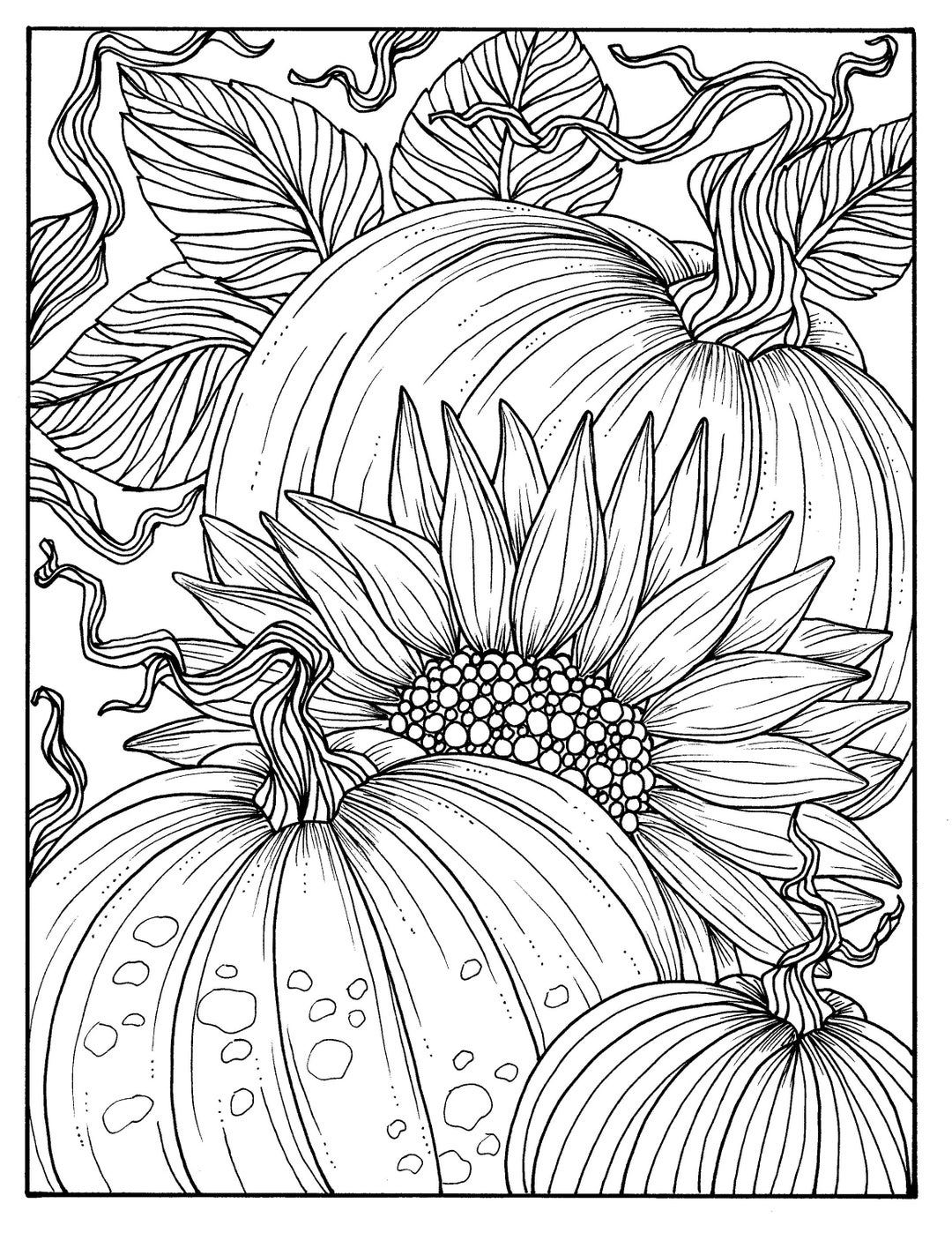 5 Pages Fabulous Fall Digital Downloads To Color Punpkins Crows Sunflowers Gourds Squirrel Thanks Autumn Etsy Canada