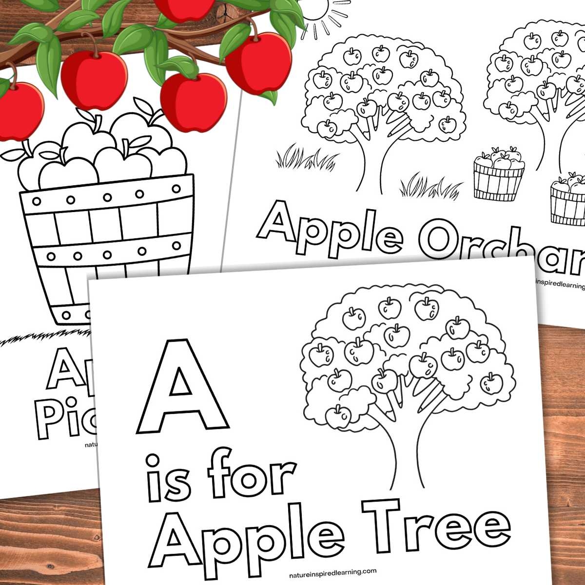 Printable Tree Coloring Pages