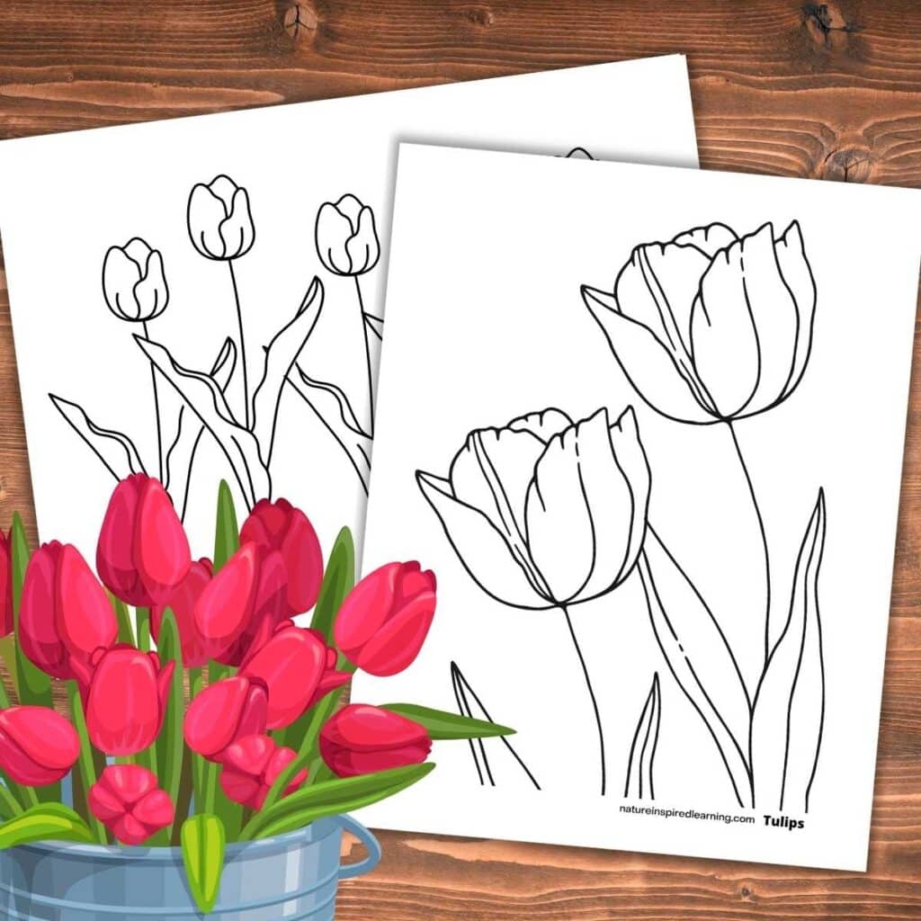 Free Printable Spring Flowers Coloring Pages
