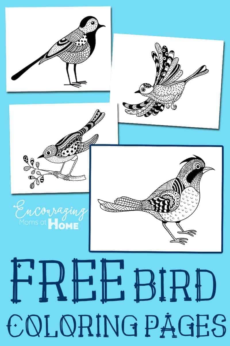Bird Printable Coloring Pages