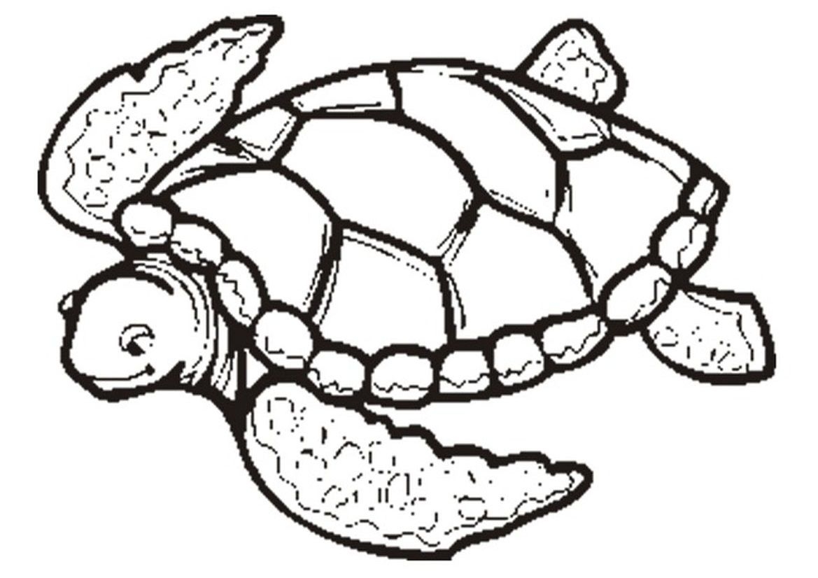 Printable Coloring Pages Turtle