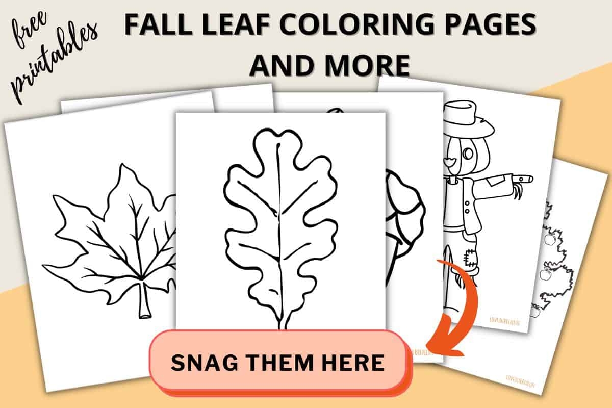 Leaf Printable Coloring Pages