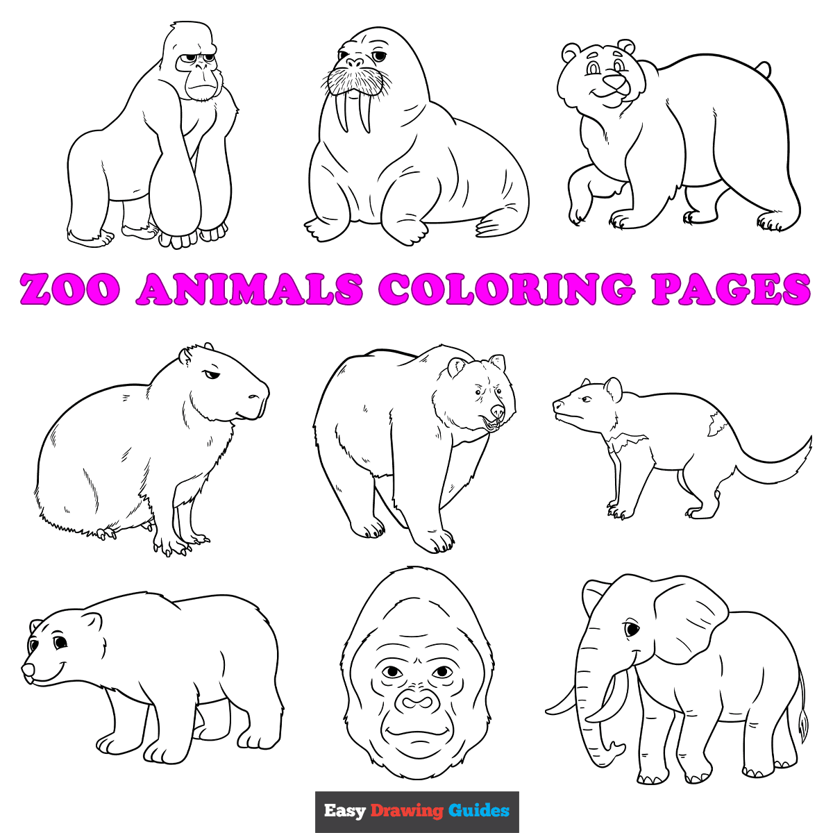 Free Coloring Pages Zoo Animals