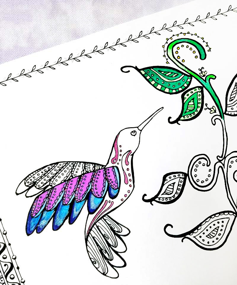 Hummingbird Coloring Pages Free