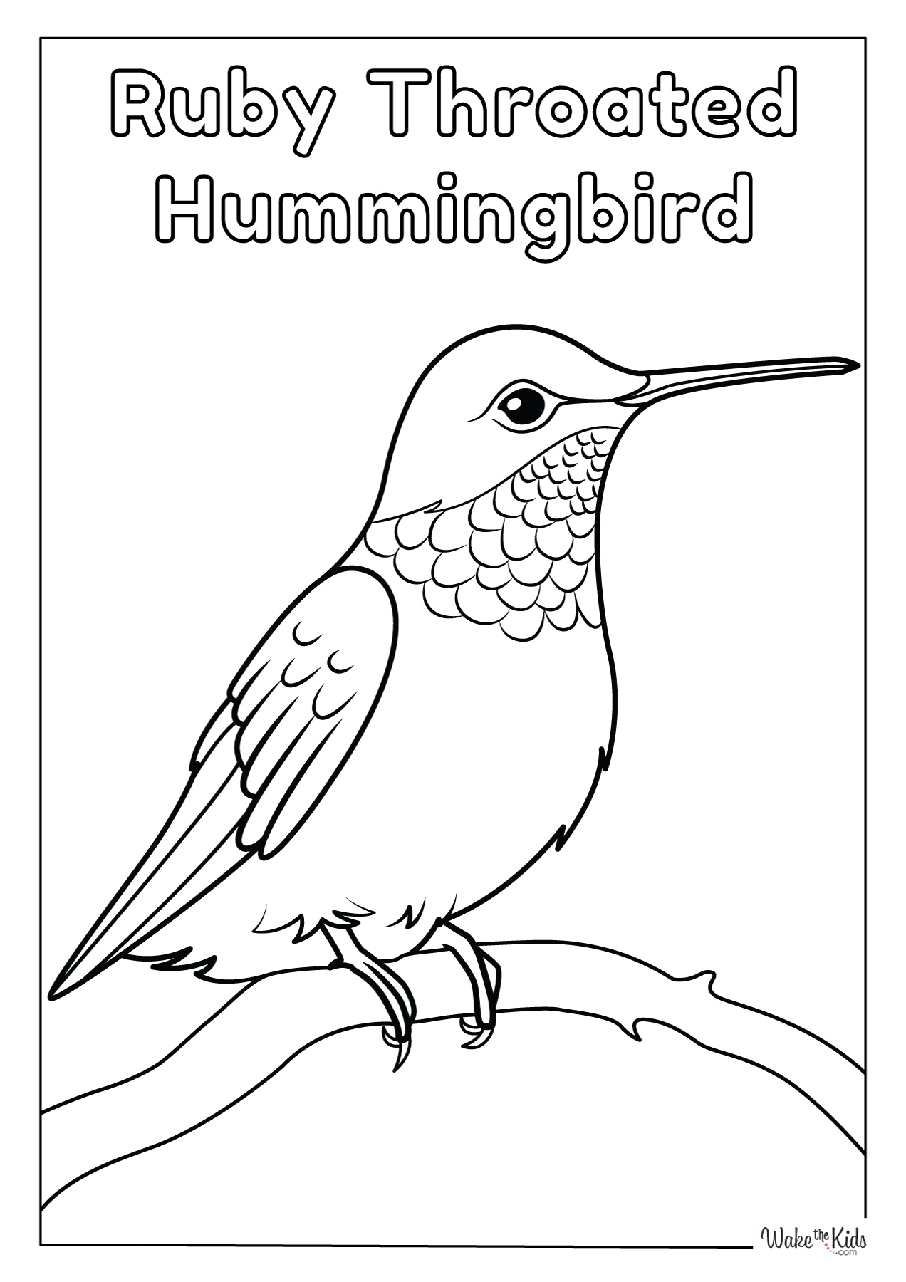 Hummingbird Coloring Pages Free Printable PDFs WakeTheKids