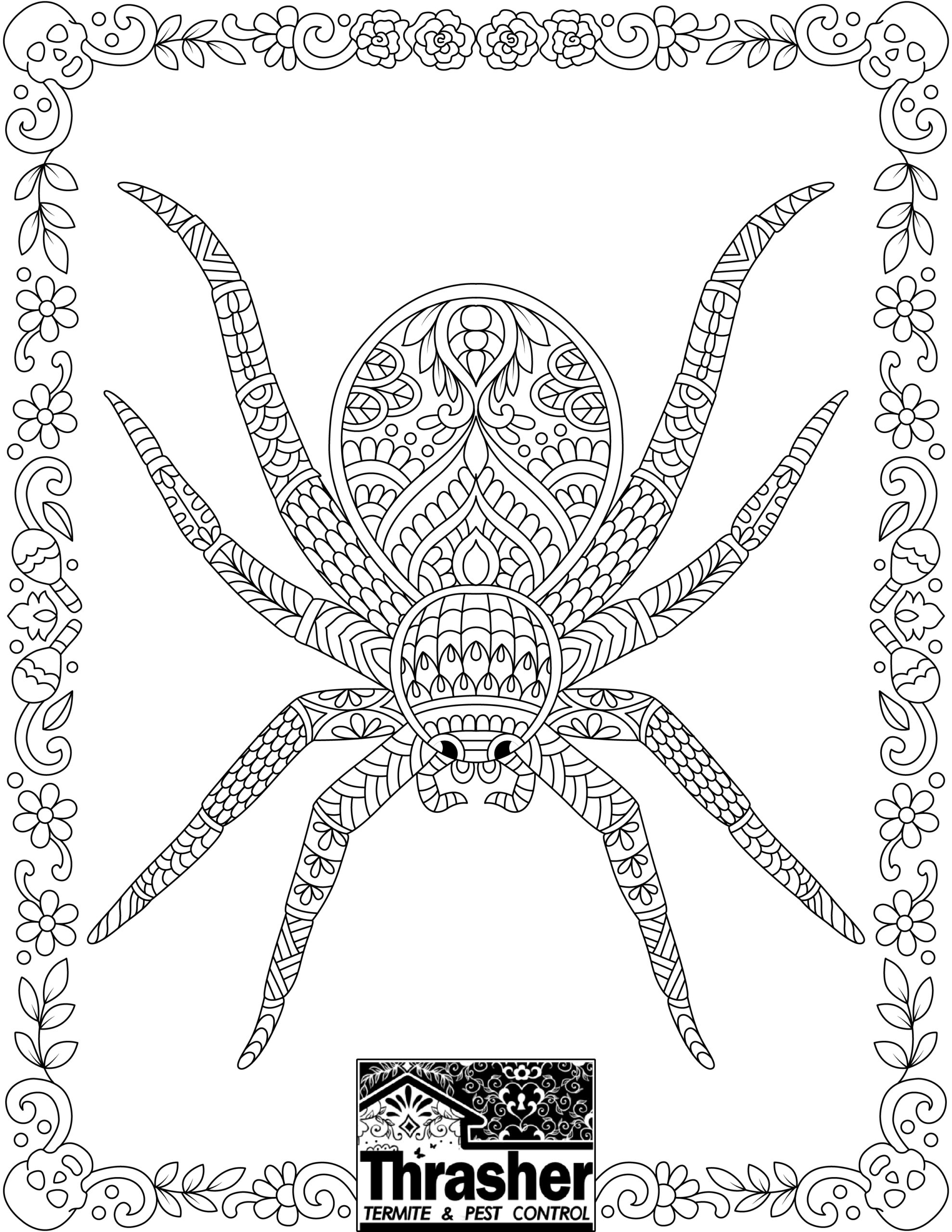 Spider Coloring Page Thrasher Termite U0026 Pest Control