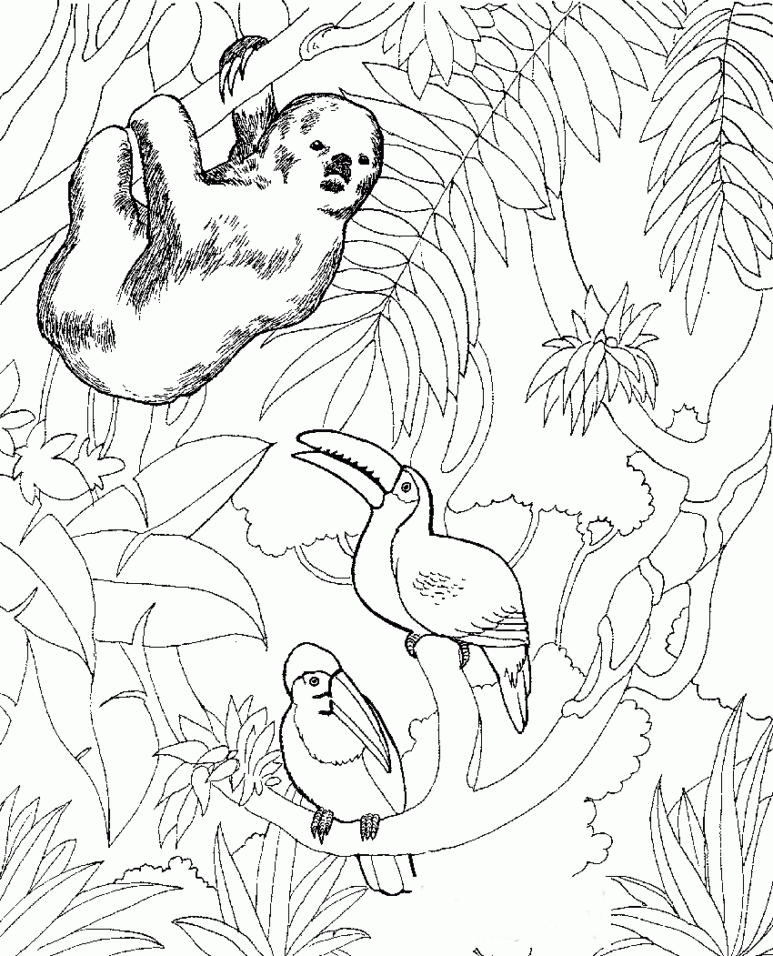 Free Printable Zoo Animal Coloring Pages
