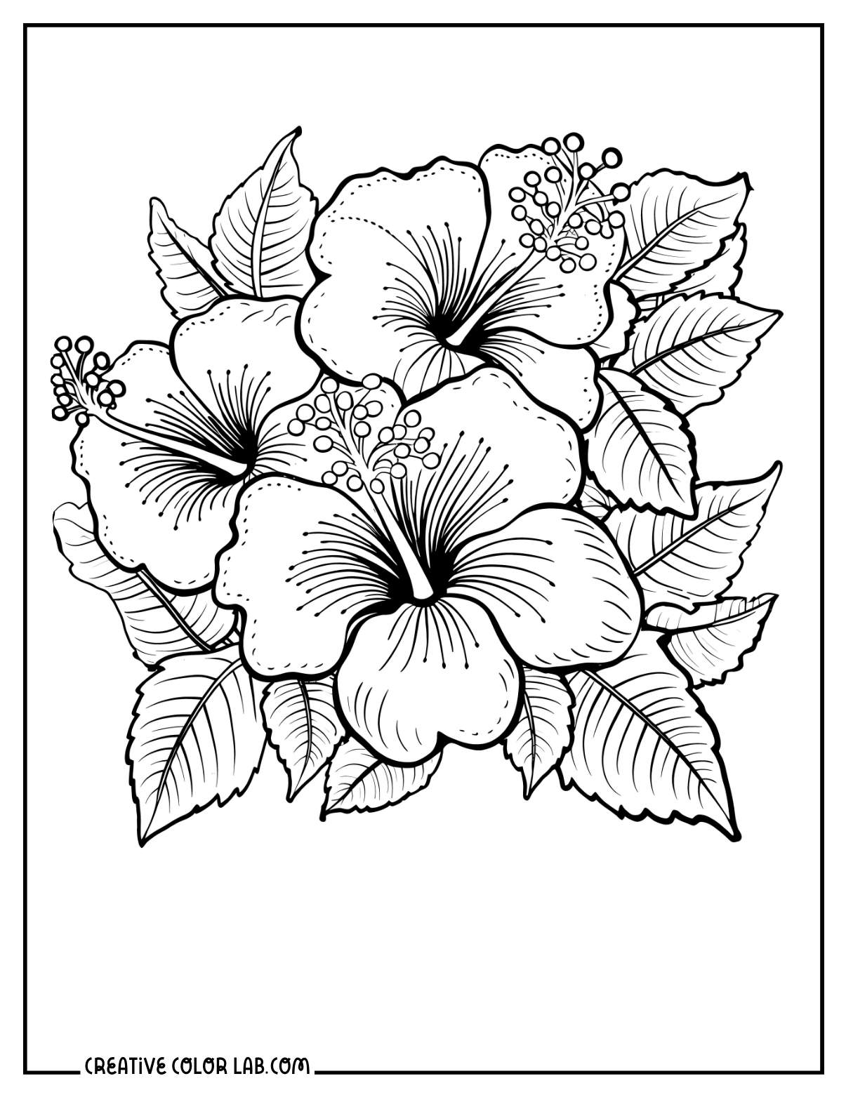 Realistic Coloring Pages Printable