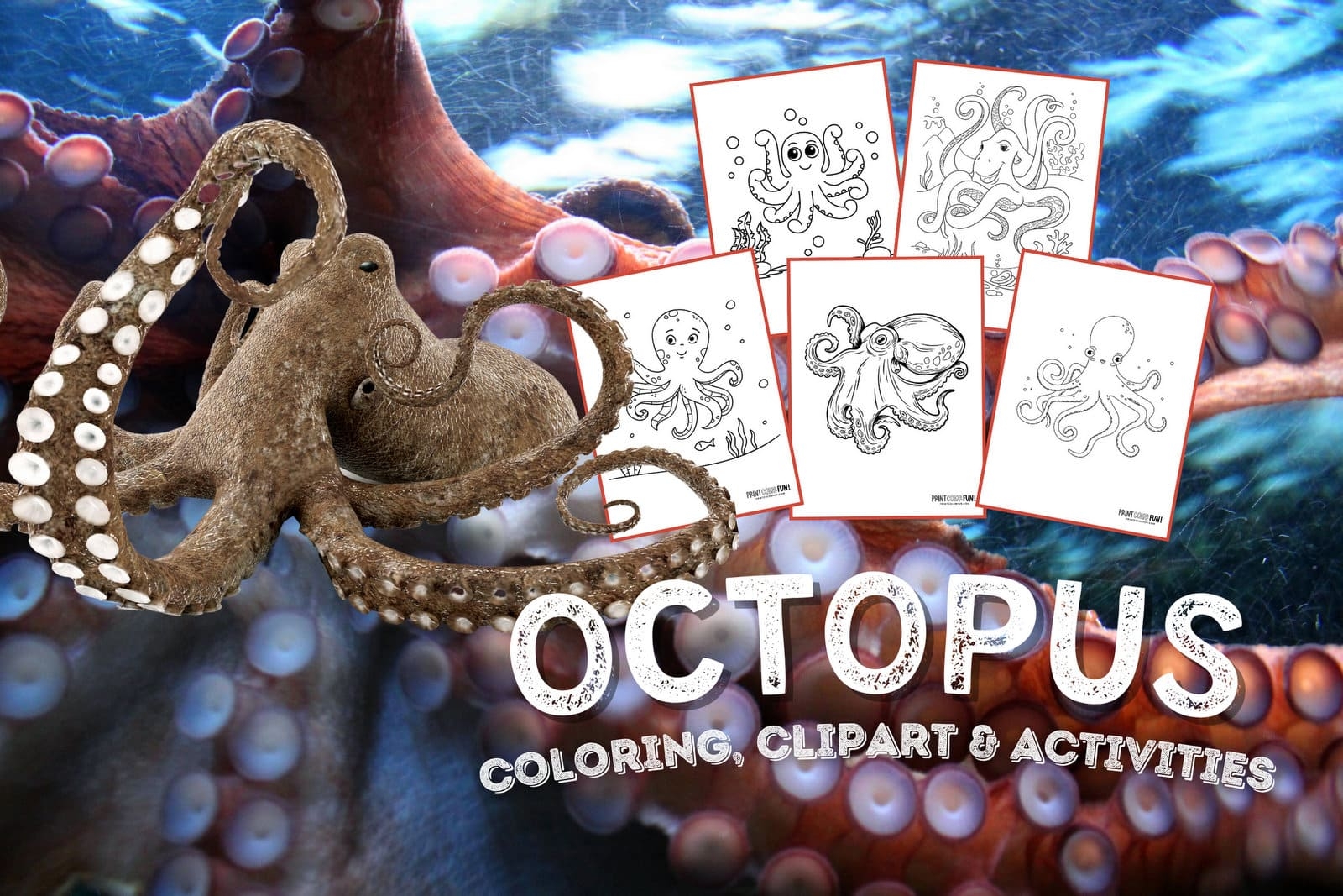 15 Octopus Drawings Clipart Make Waves With These Fun Craft Learning Activities At PrintColorFun