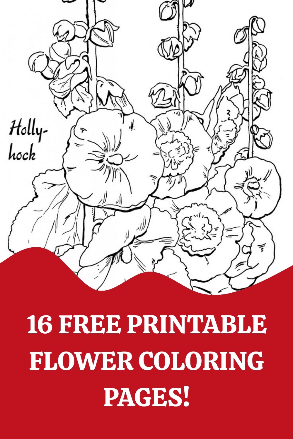Free Printable Easy Adult Coloring Pages