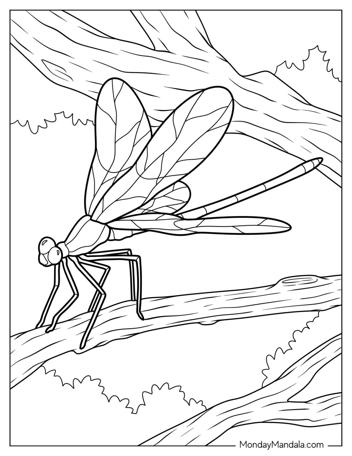 20 Dragonfly Coloring Pages Free PDF Printables 