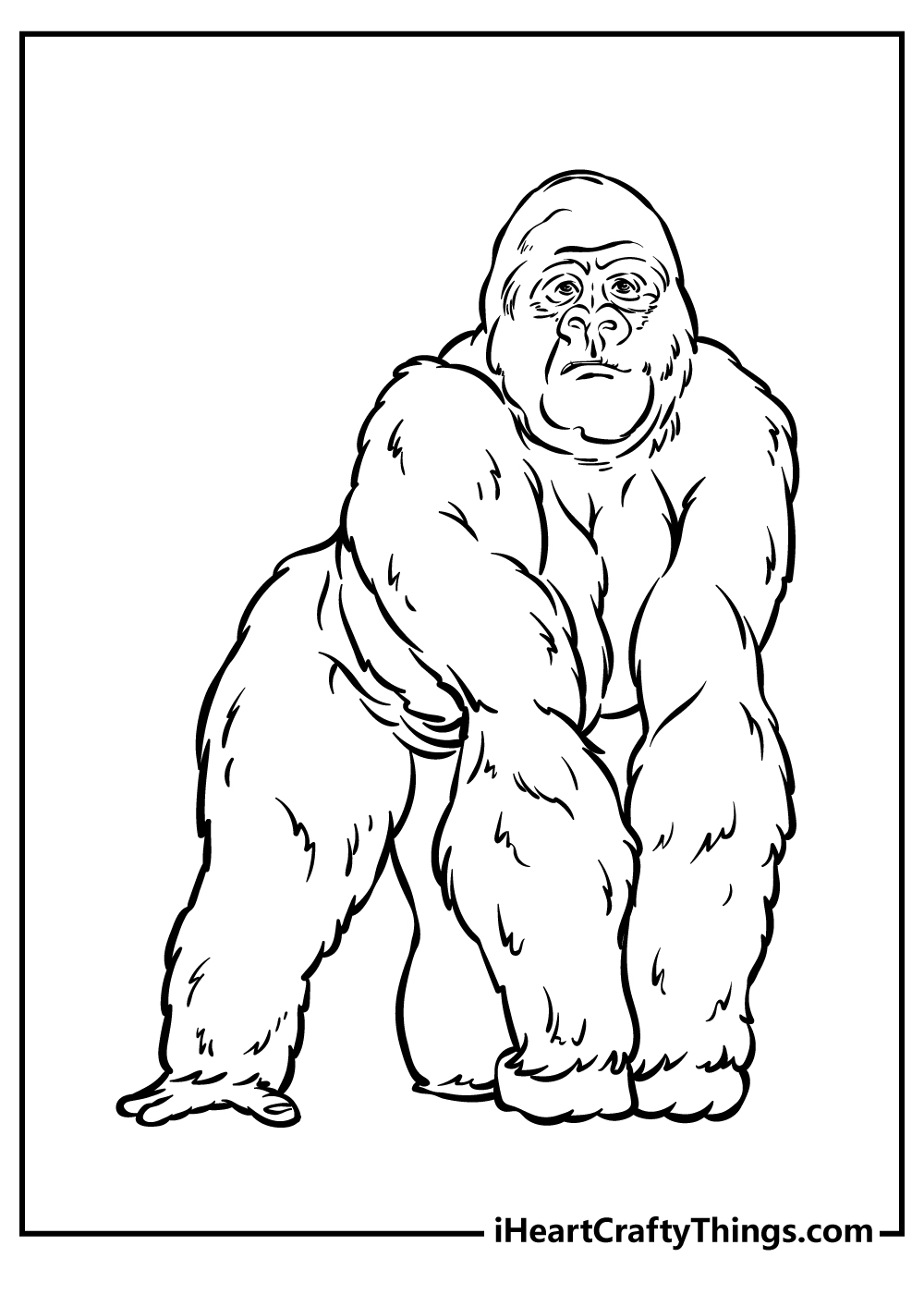Free Printable Coloring Pages Zoo Animals