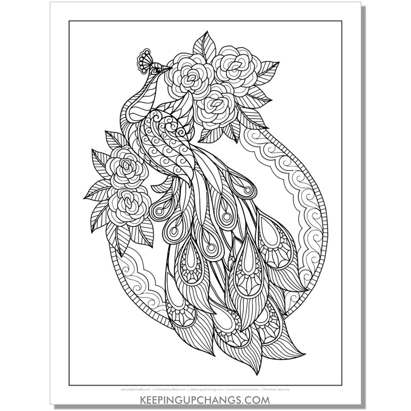Peacock Coloring Pages Printable