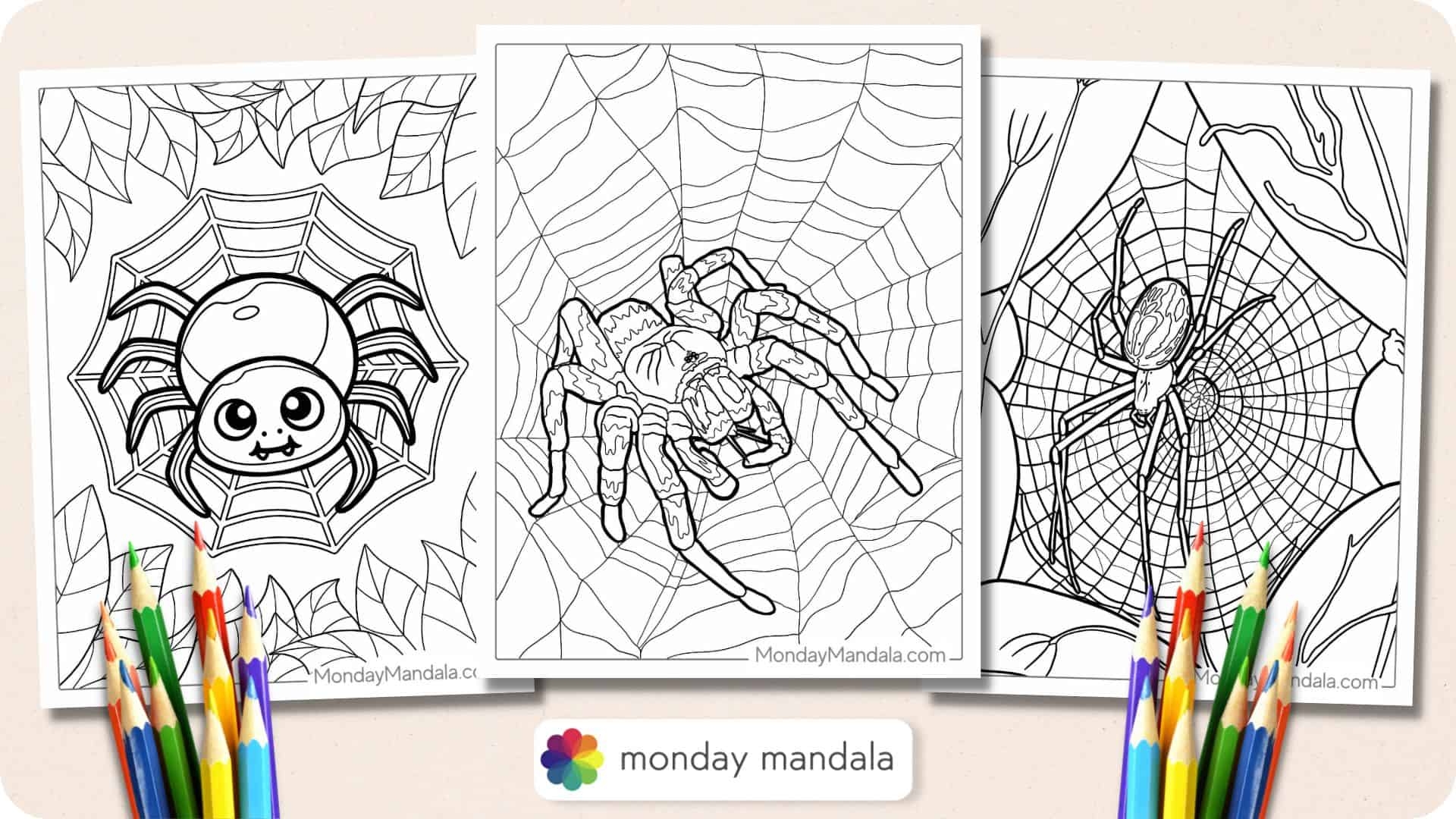 Spider Coloring Pages Free