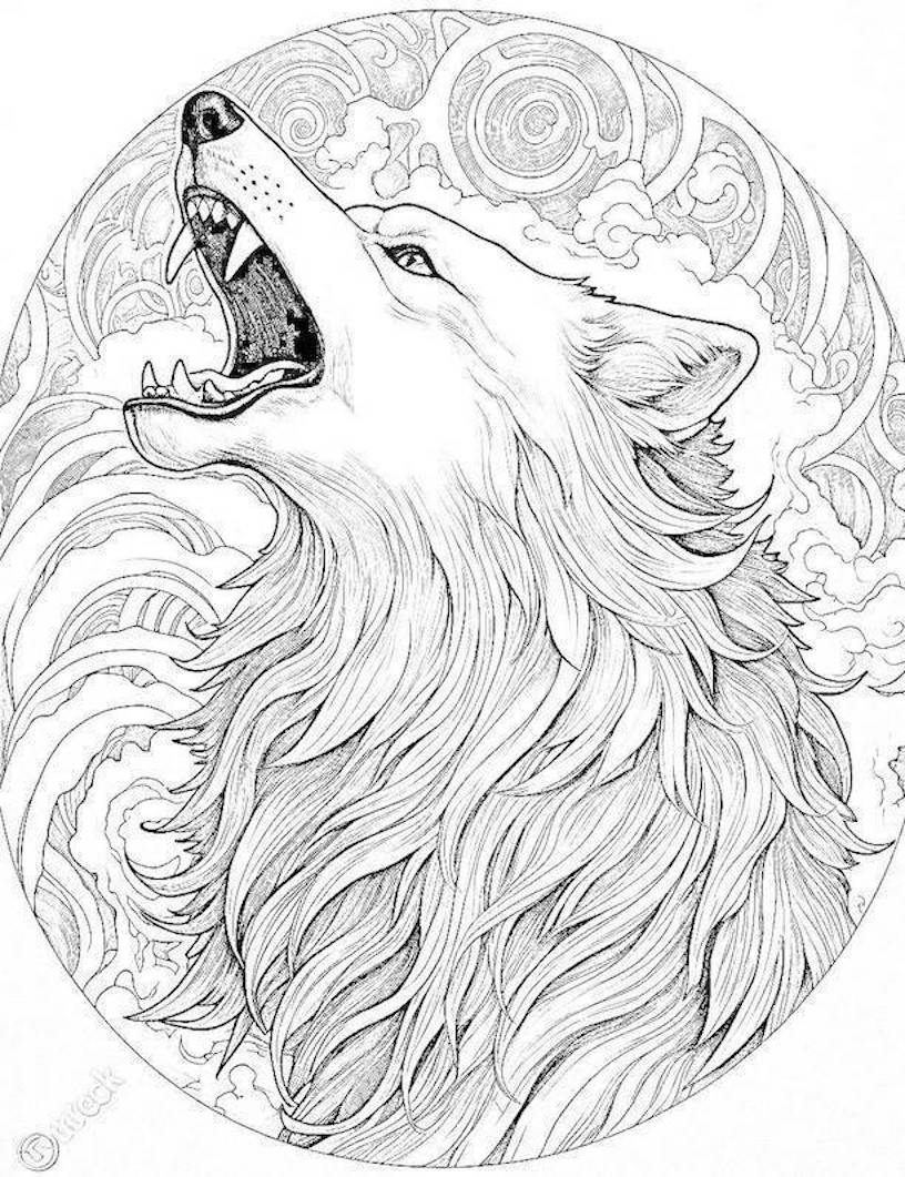 Wolf Coloring Page Printable