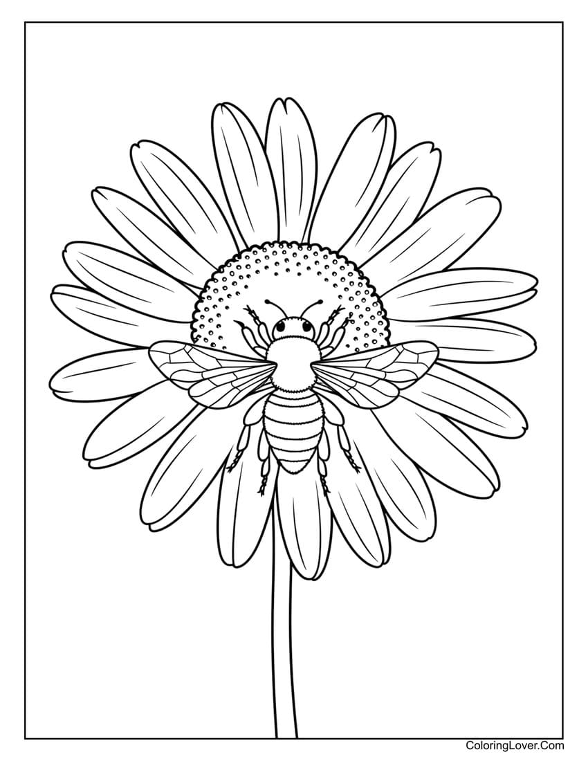 Daisy Coloring Pages Printable