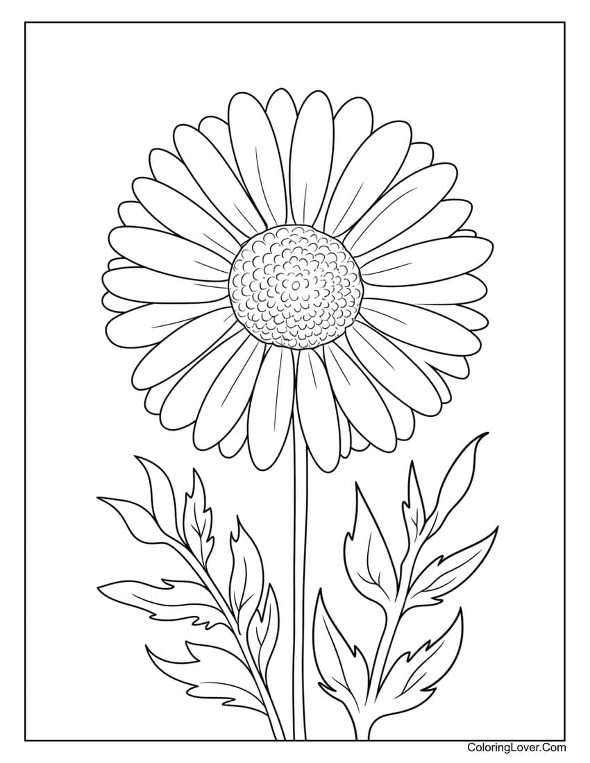 33 Daisy Coloring Pages Free Printables For All Ages 