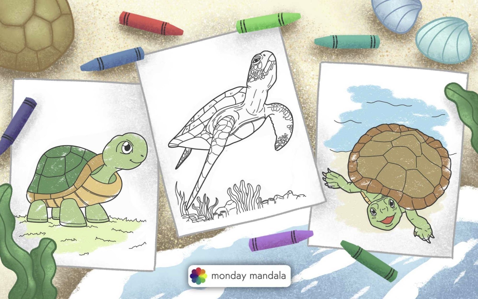36 Turtle Coloring Pages Free PDF Printables 