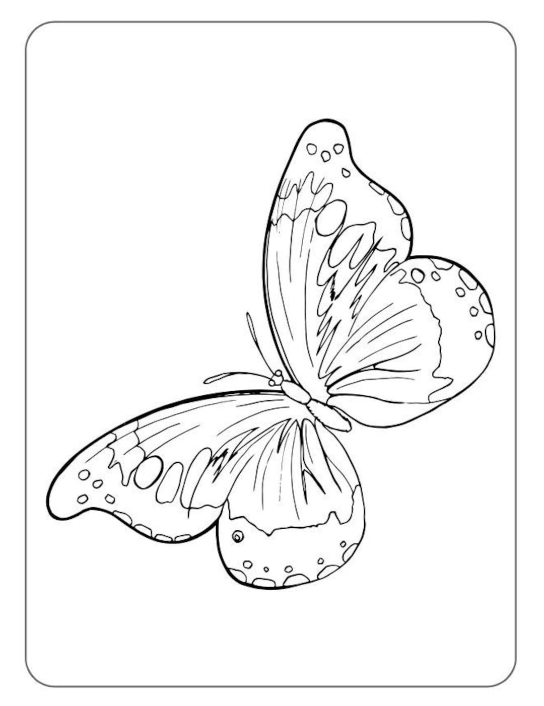Free Printable Full Size Butterfly Coloring Pages