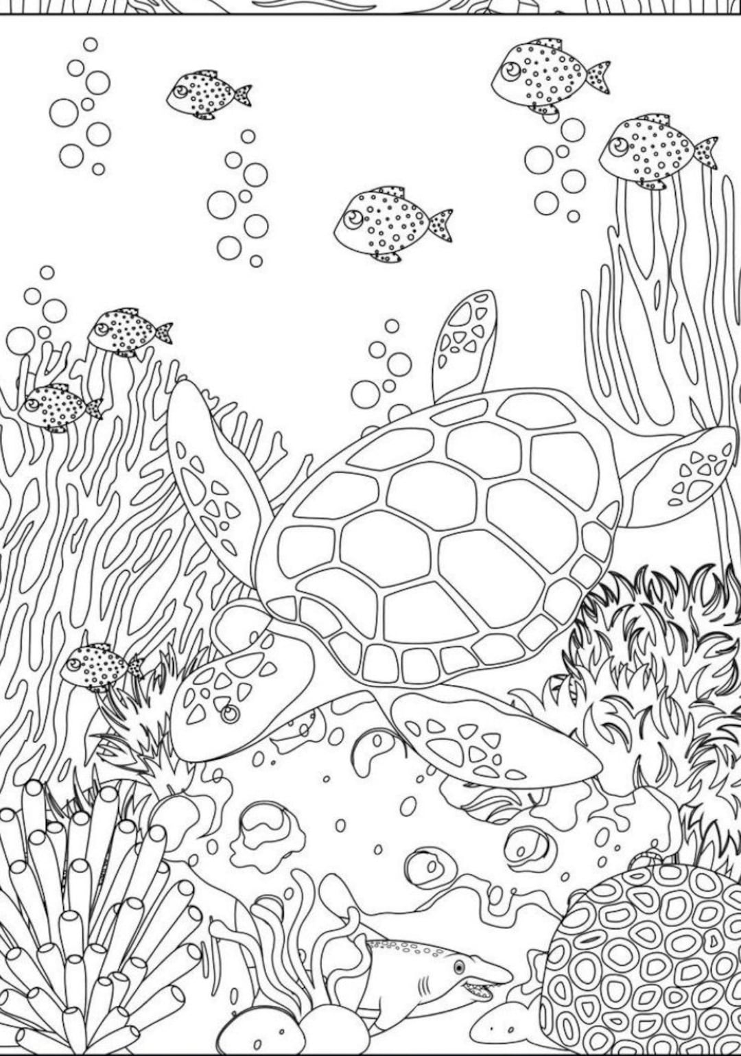 5 Ocean Coloring Pages Etsy