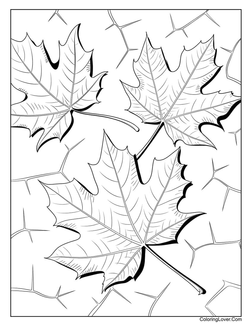 Free Printable Leaf Coloring Pages