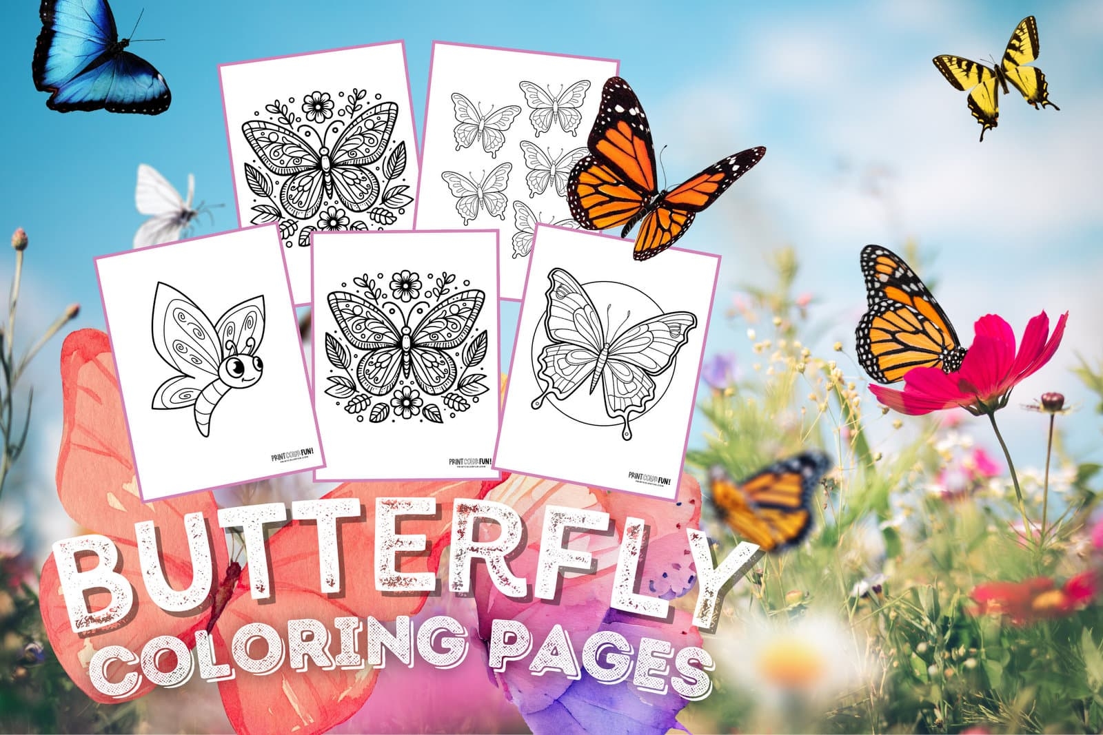 60 Butterfly Coloring Pages Clipart Collection With Both Easy Complex Designs At PrintColorFun