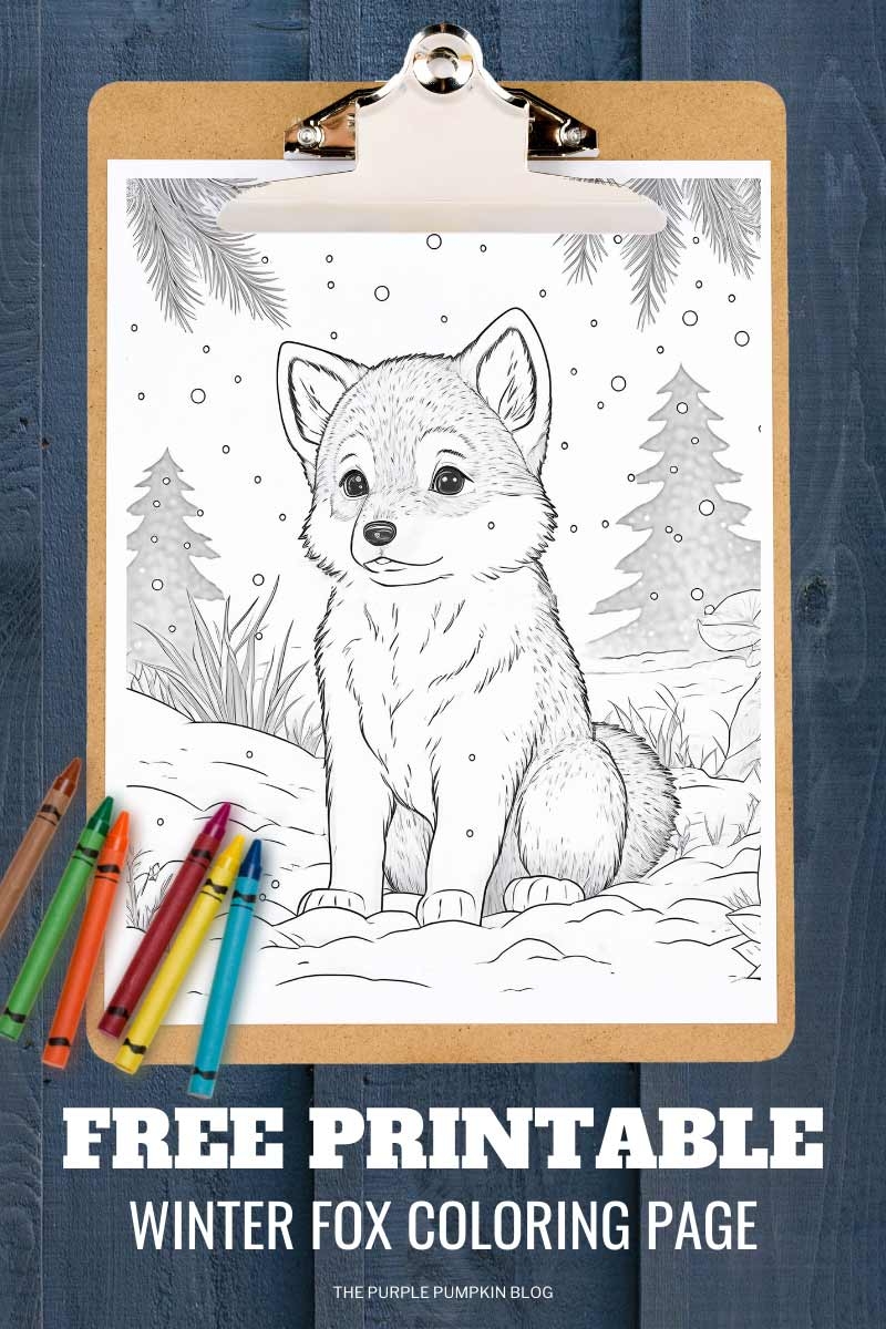 Adorable Free Printable Winter Fox Coloring Page 