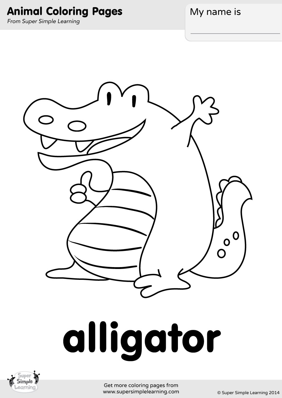 Alligator Coloring Page Printable