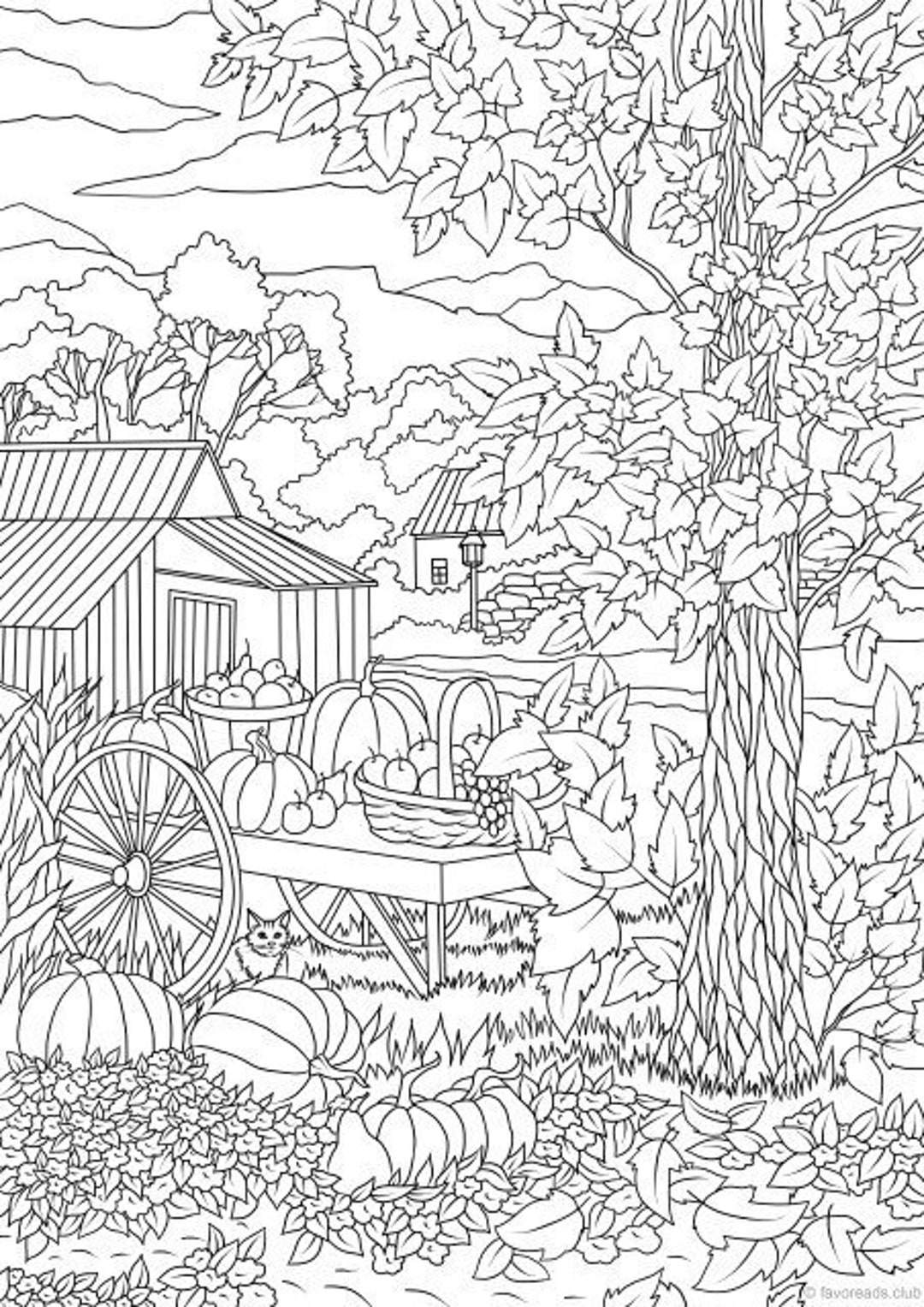 Autumn Harvest Printable Adult Coloring Page From Favoreads coloring Book Pages For Adults And Kids Coloring Sheets Coloring Designs Etsy New Zealand