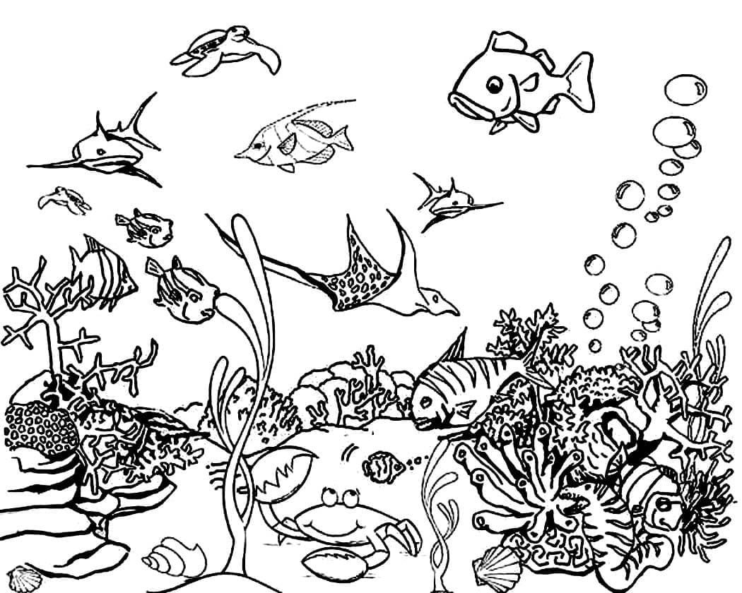 Awesome Ocean Coloring Page Download Print Or Color Online For Free