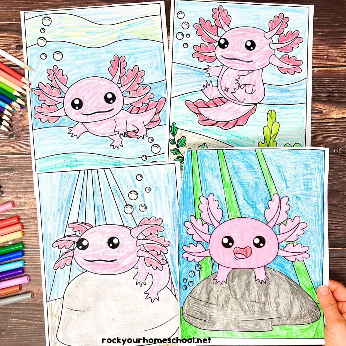 Axolotl Coloring Page Printable Free