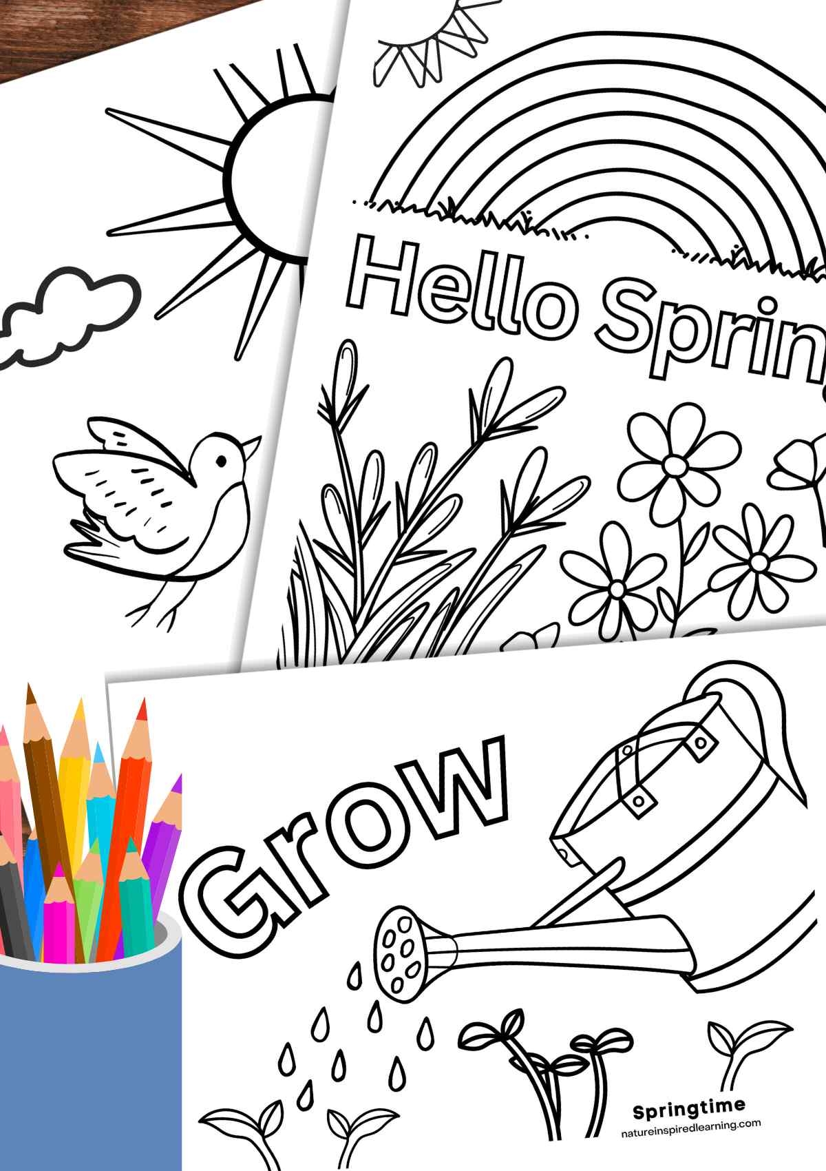 Beautiful Spring Coloring Pages Nature Inspired Learning
