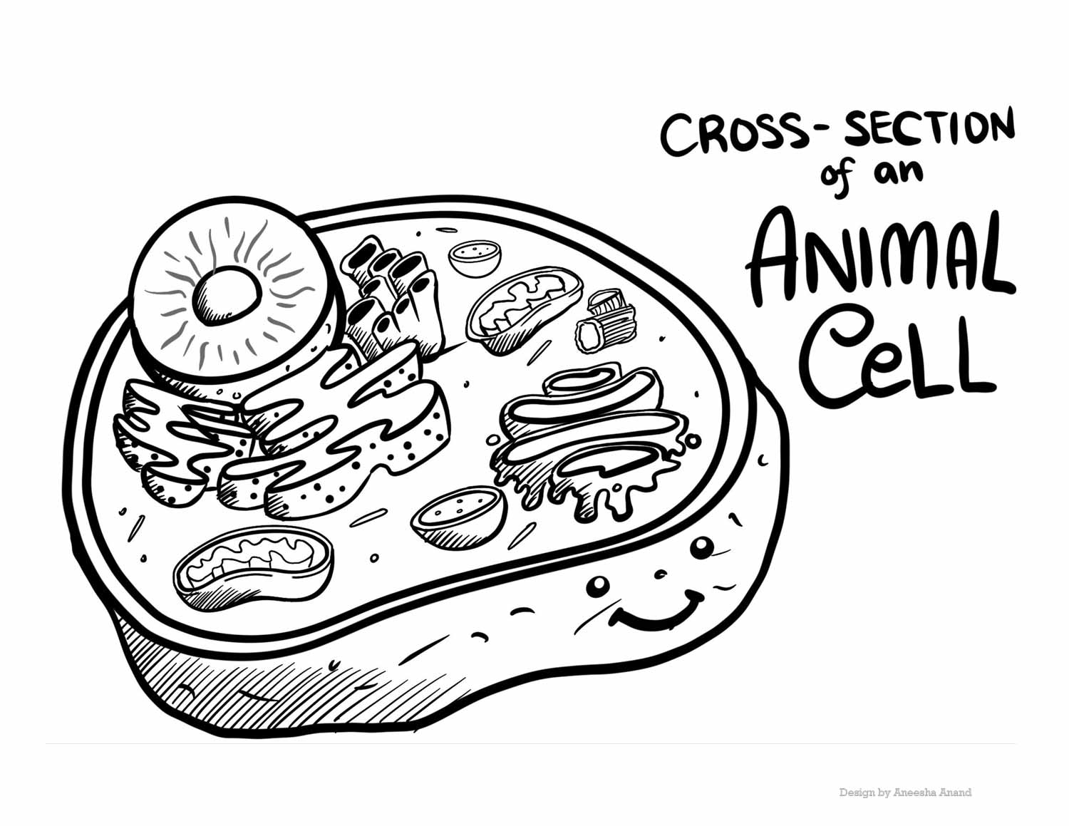 Biology Coloring Pages Science Fest