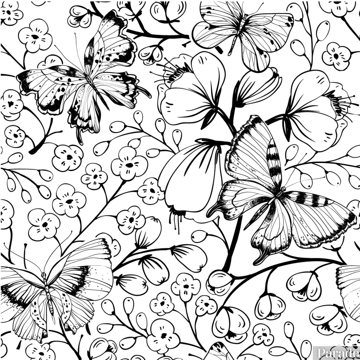Butterfly Coloring Pages 25 Free Printable Sheets Parade