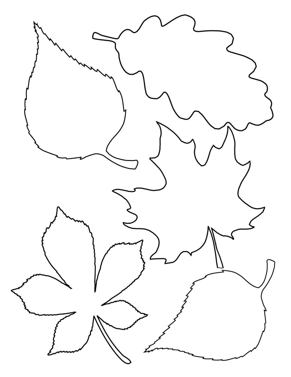 Free Coloring Pages Of Leaves
