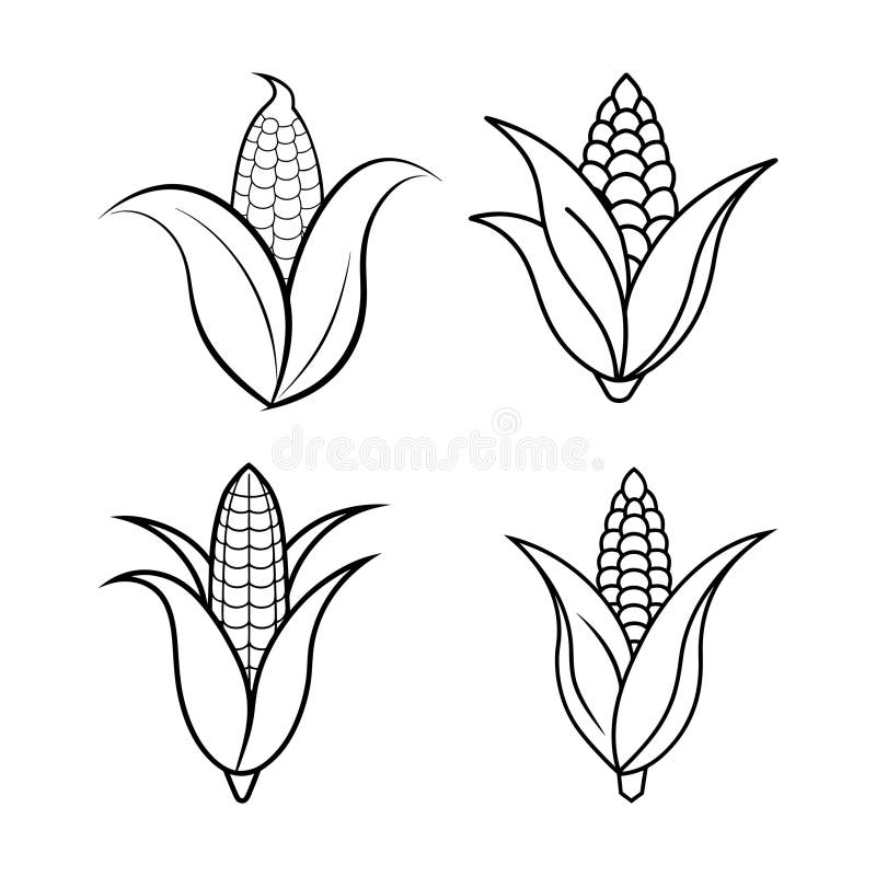 Corn Coloring Page Stock Illustrations 473 Corn Coloring Page Stock Illustrations Vectors Clipart Dreamstime