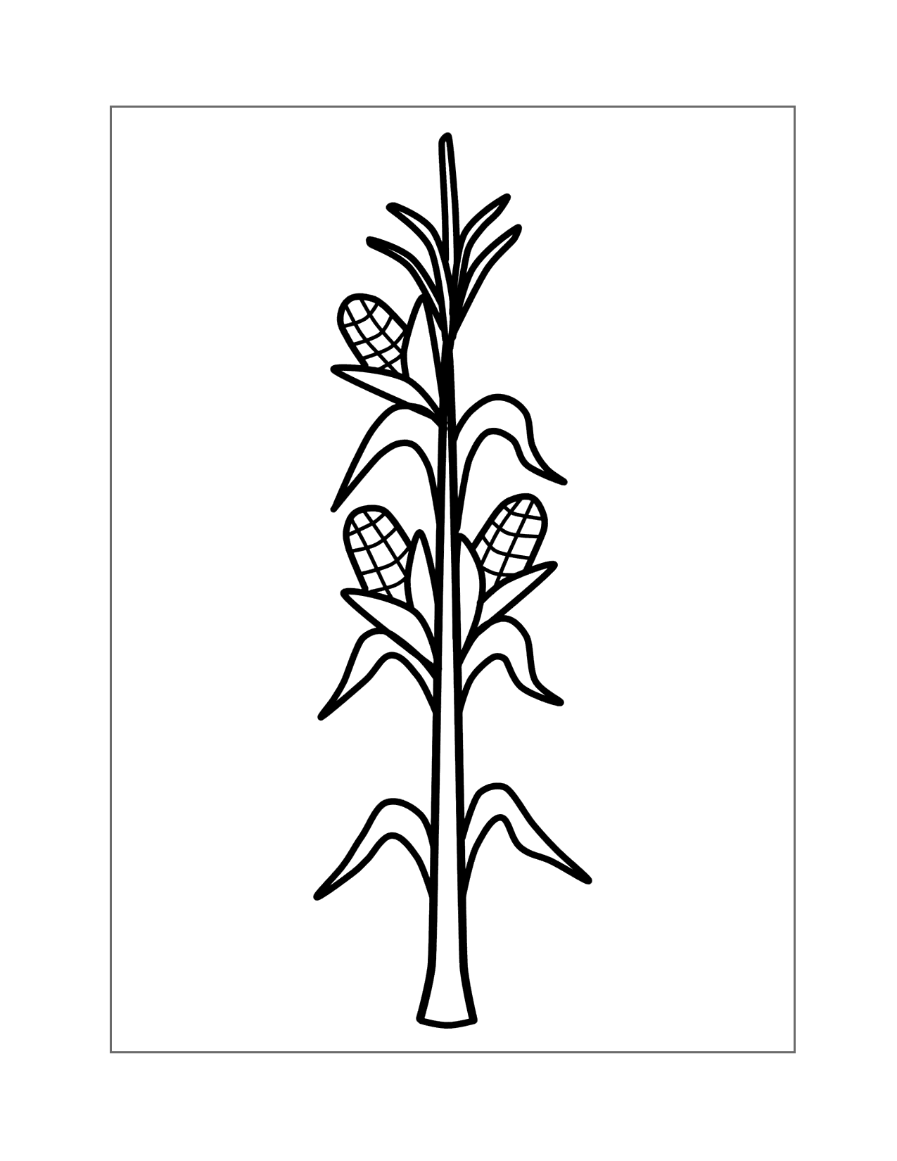 Corn Coloring Pages Printable Coloring Pages FREE