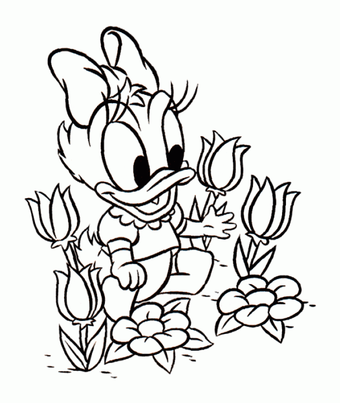 Free Printable Daisy Coloring Pages