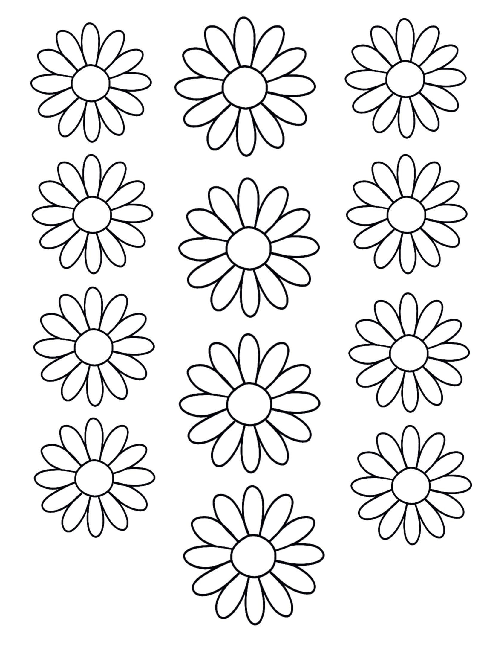 Daisy Coloring Page Full Page Of Daisy s JPEG Black And White Printable Etsy Canada