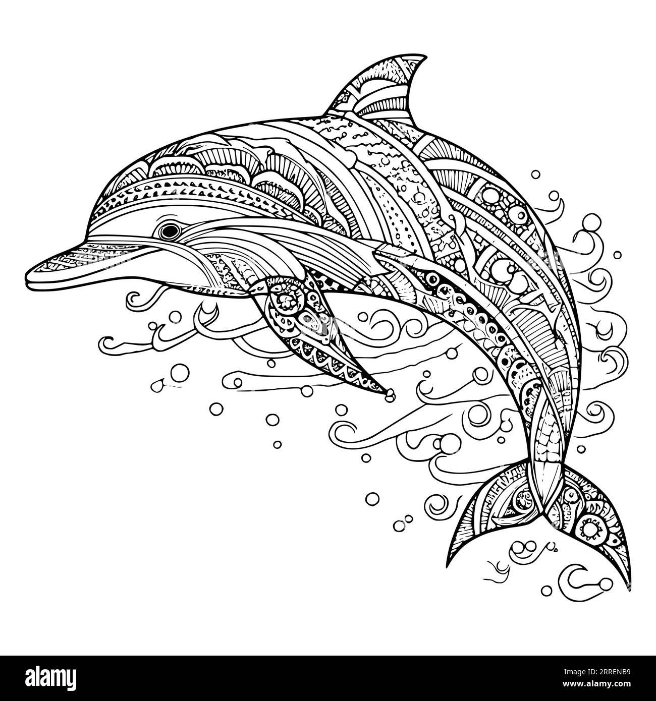 Dolphin Colouring Pages For Adults Hi res Stock Photography And Images Alamy