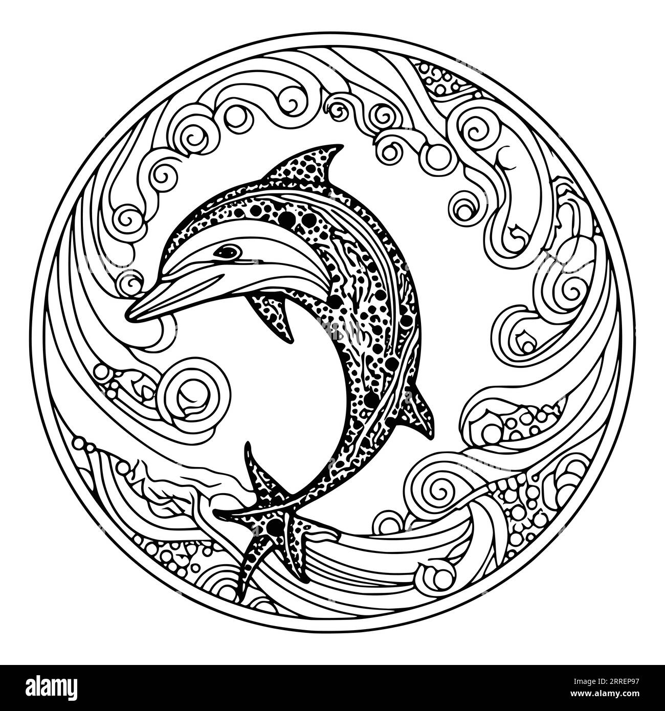 Dolphin Colouring Pages Printable Black And White Stock Photos Images Alamy
