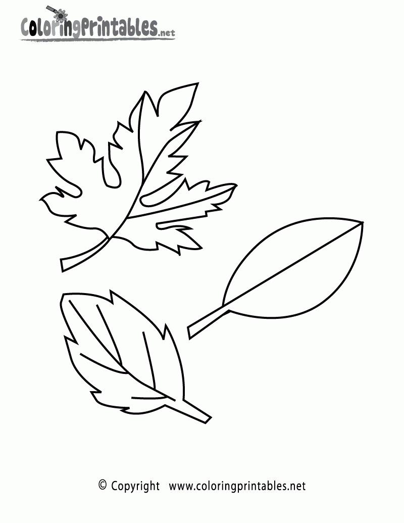 Fall Leaves Coloring Page A Free Seasonal Coloring Printable