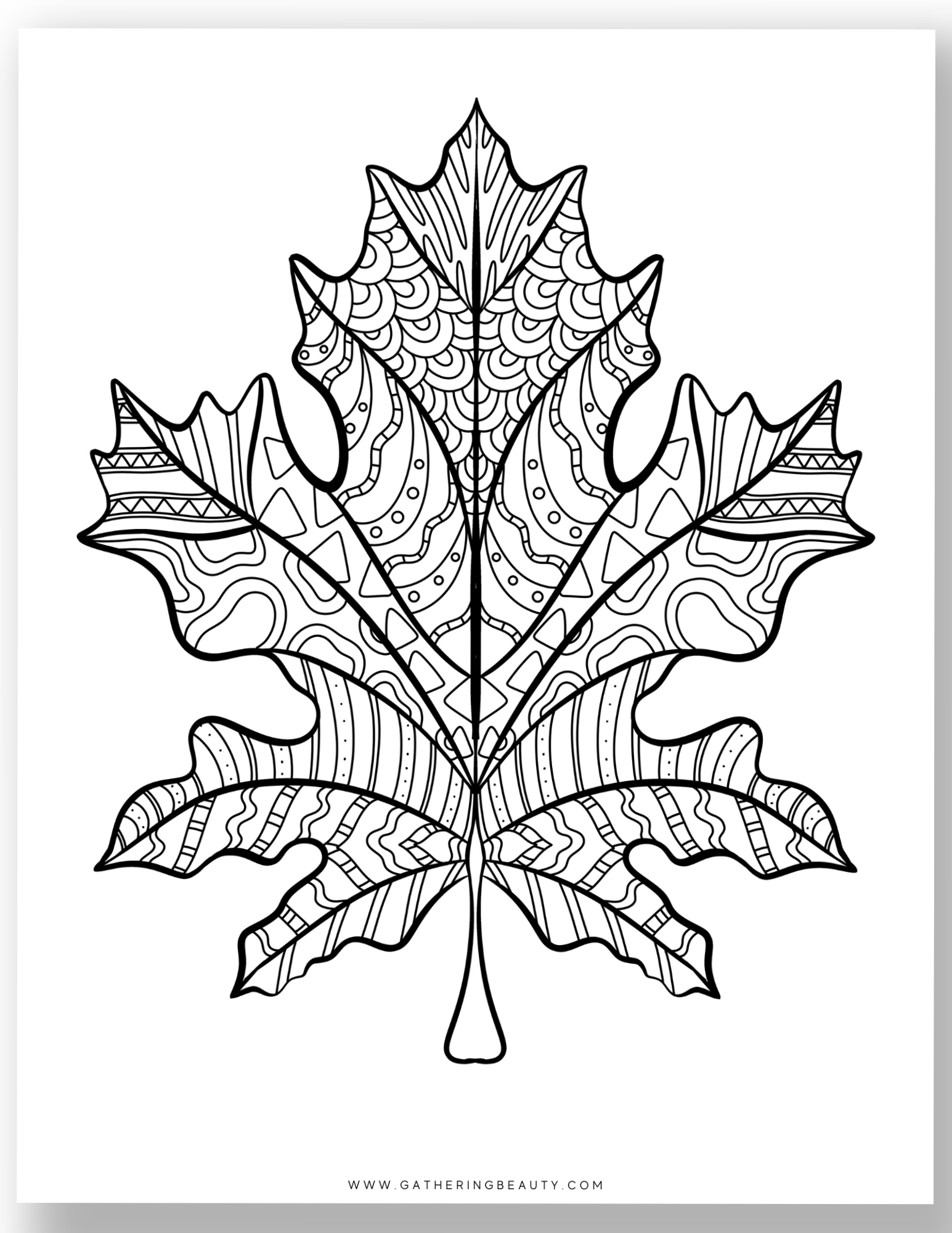 Free Fall Colouring Pages For Adults Gathering Beauty