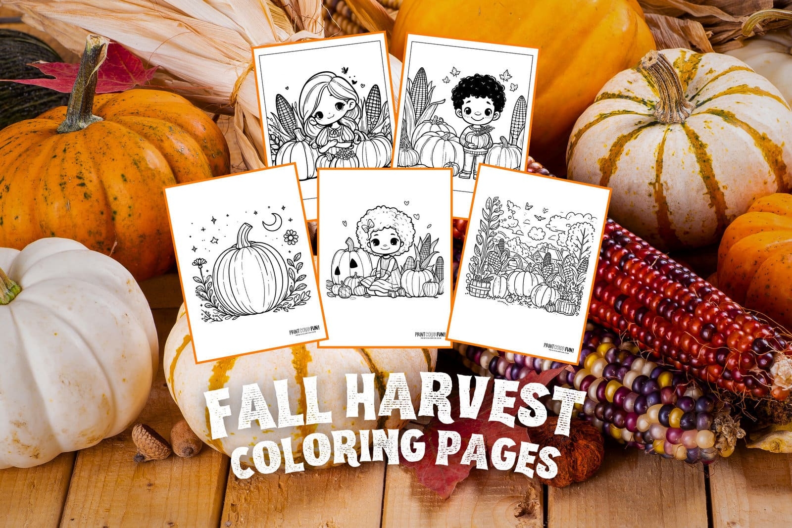 Free Fall Harvest Coloring Pages 22 Autumn Pumpkin Patches Hay Rides Corn Stalks At PrintColorFun
