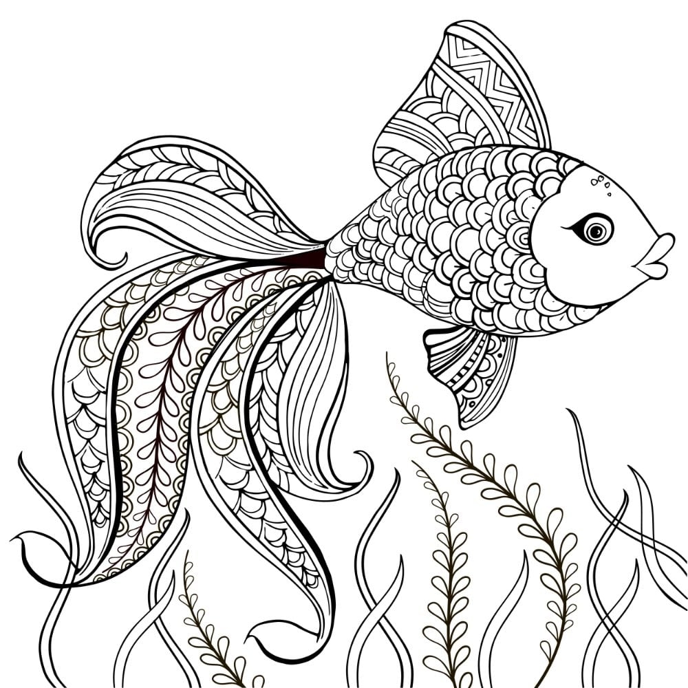 Free Printable Ocean Coloring Pages For Adults