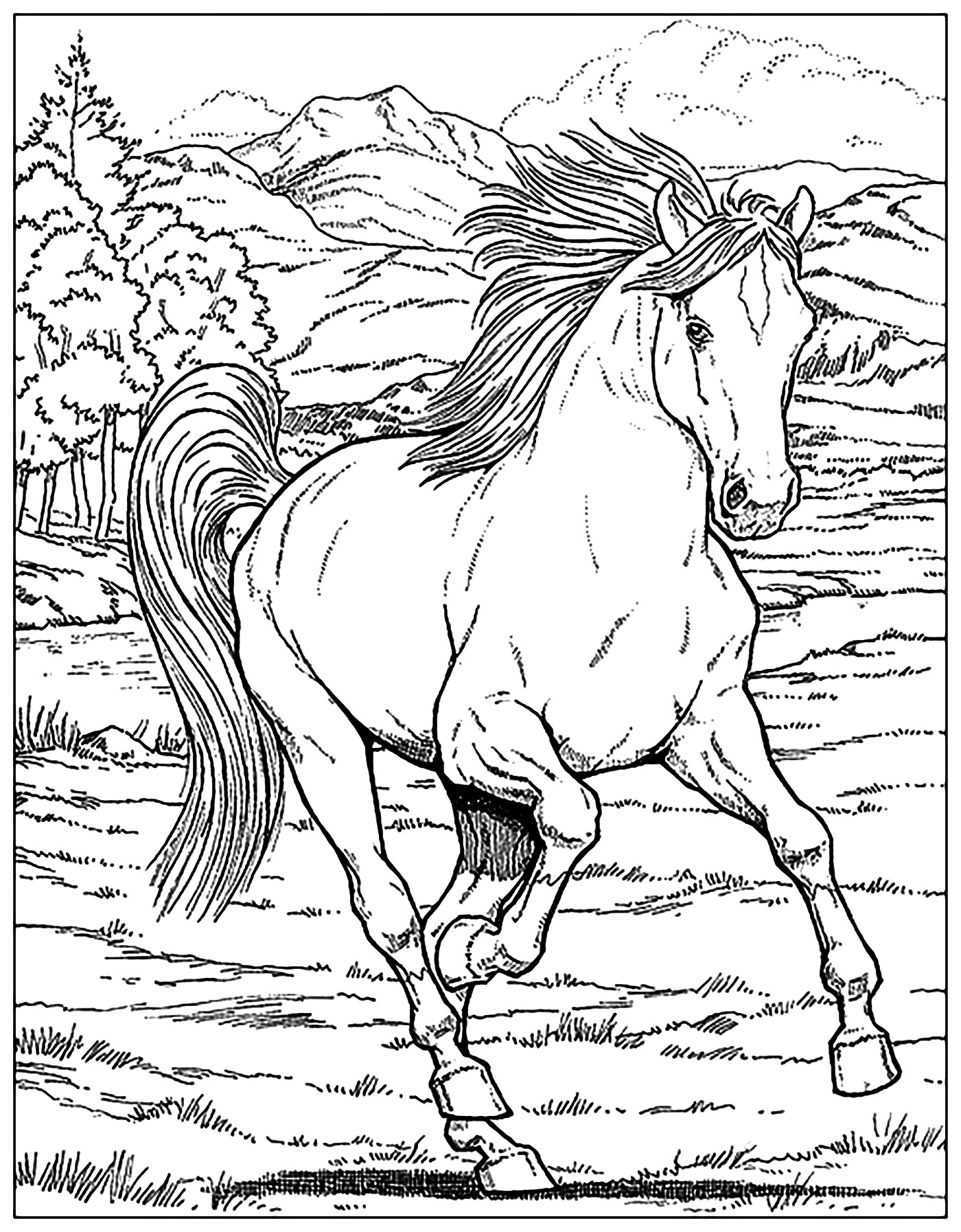 Free Horse Coloring Pages For Adults U0026 Kids COWGIRL Magazine