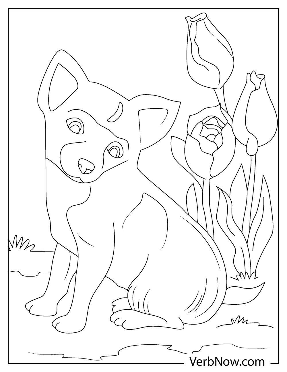 Free HUSKY DOG Coloring Pages For Download Printable PDF 