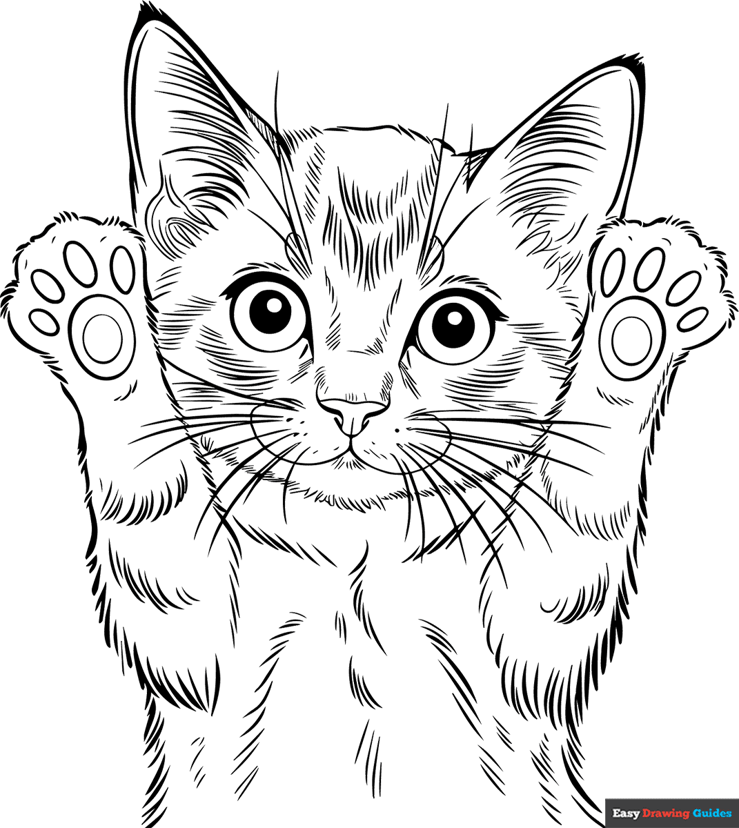 Kitten Coloring Page Free