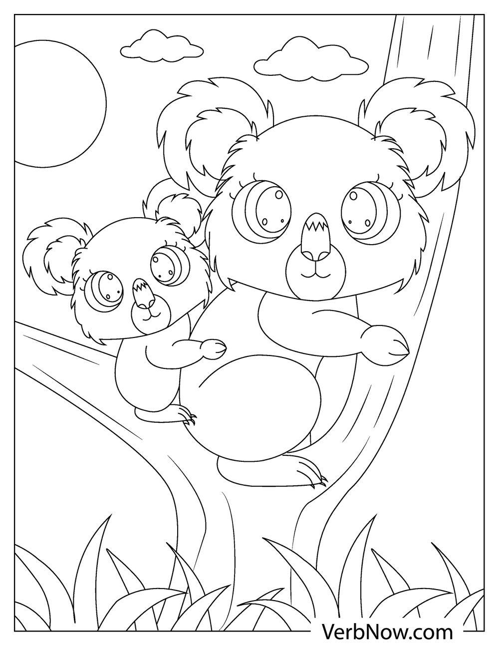 Free KOALA Coloring Pages For Download Printable PDF 